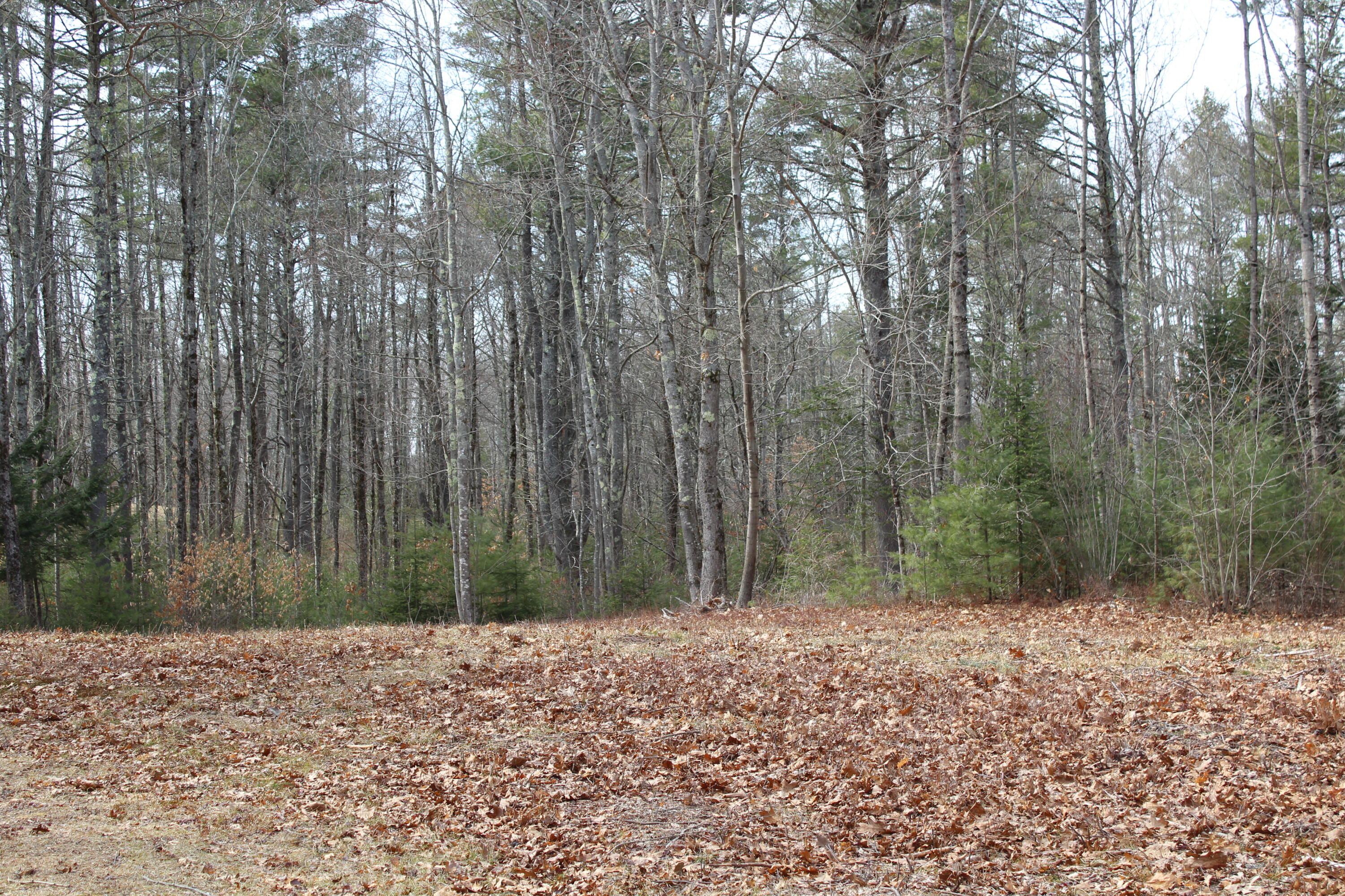 Lot 00b Knight Farm Road Kennebunk ME 04043