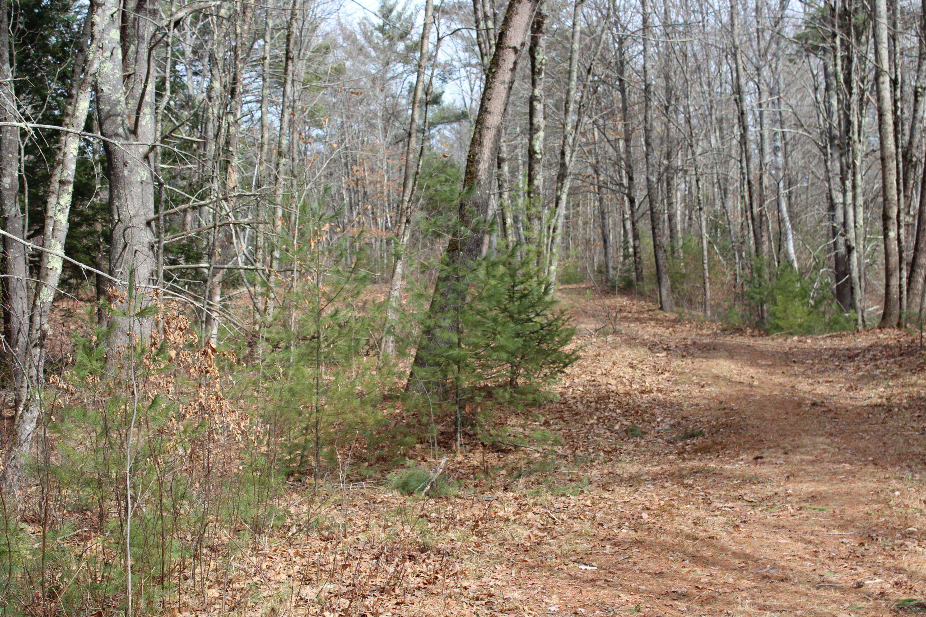 Lot 00b Knight Farm Road Kennebunk ME 04043