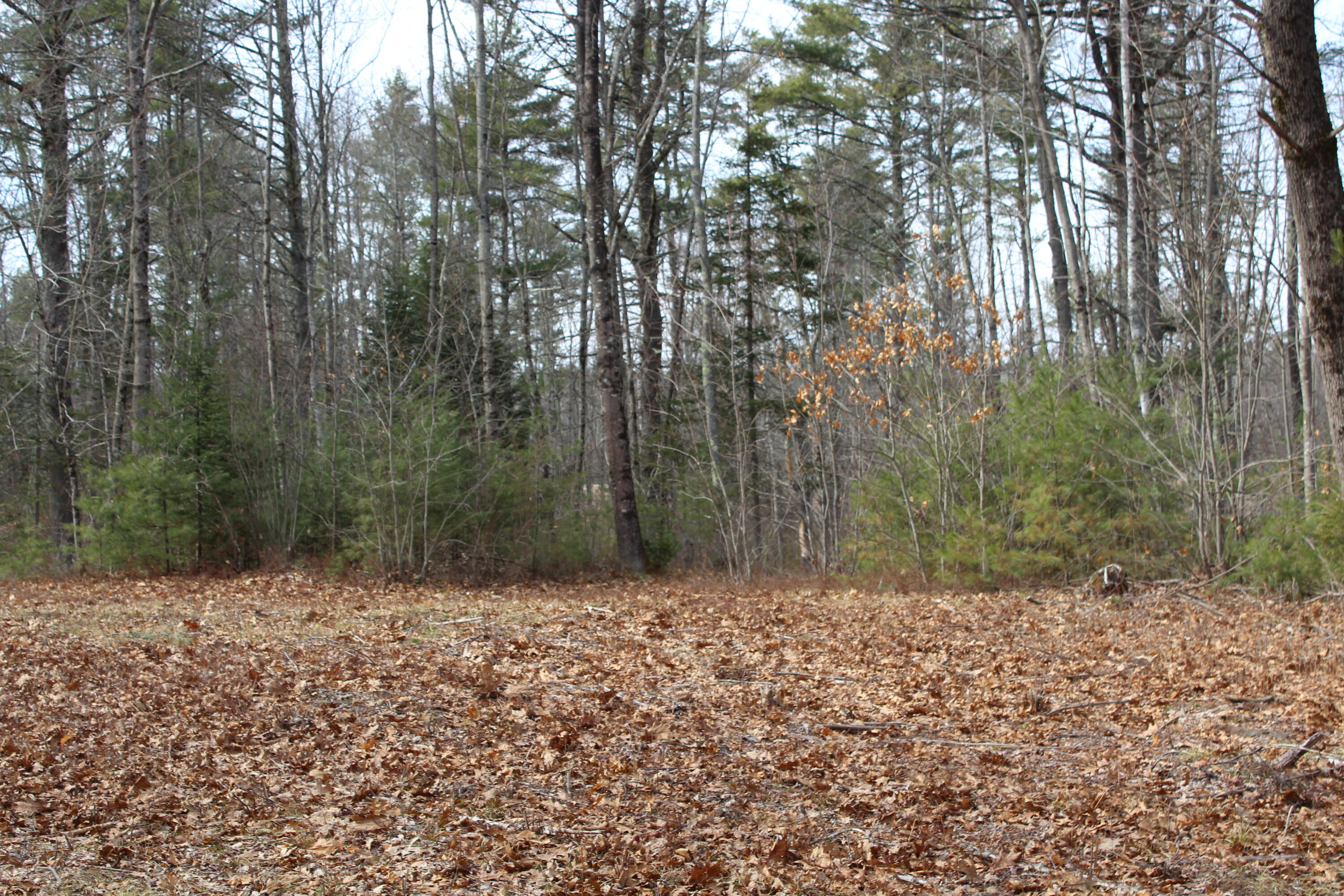 Lot 00b Knight Farm Road Kennebunk ME 04043