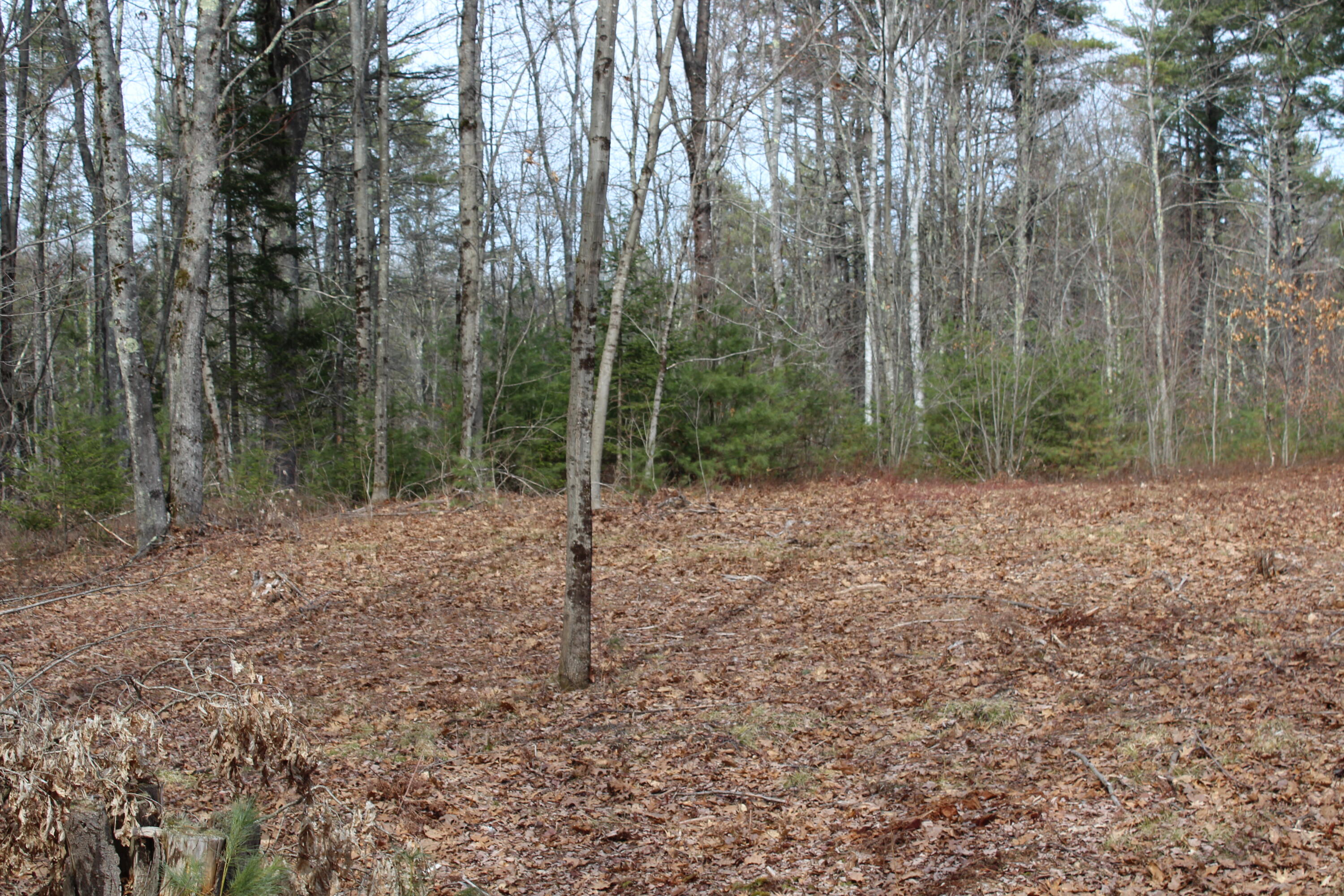 Lot 00b Knight Farm Road Kennebunk ME 04043