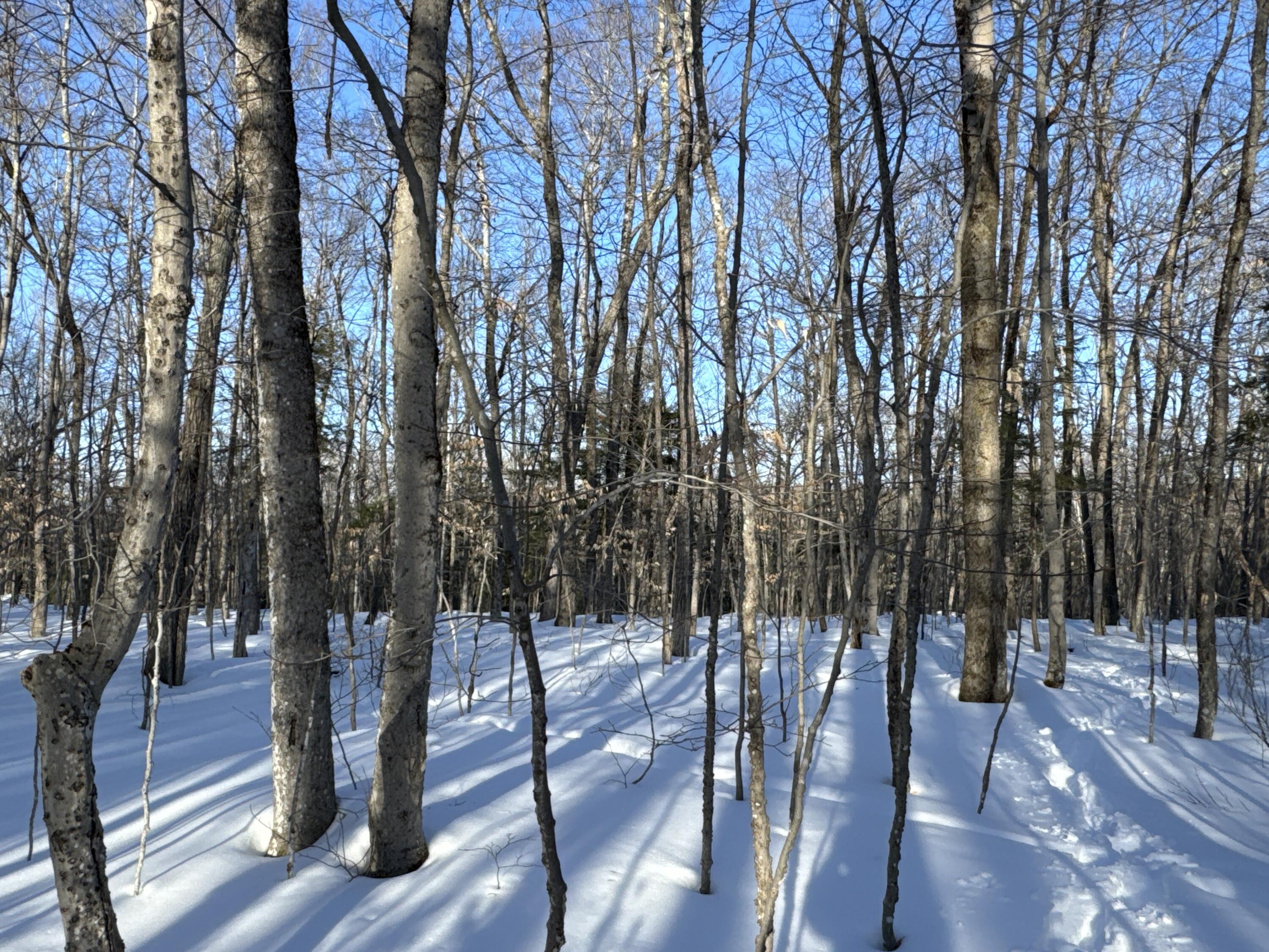M10L44 Mountain View Road Fryeburg ME 04037