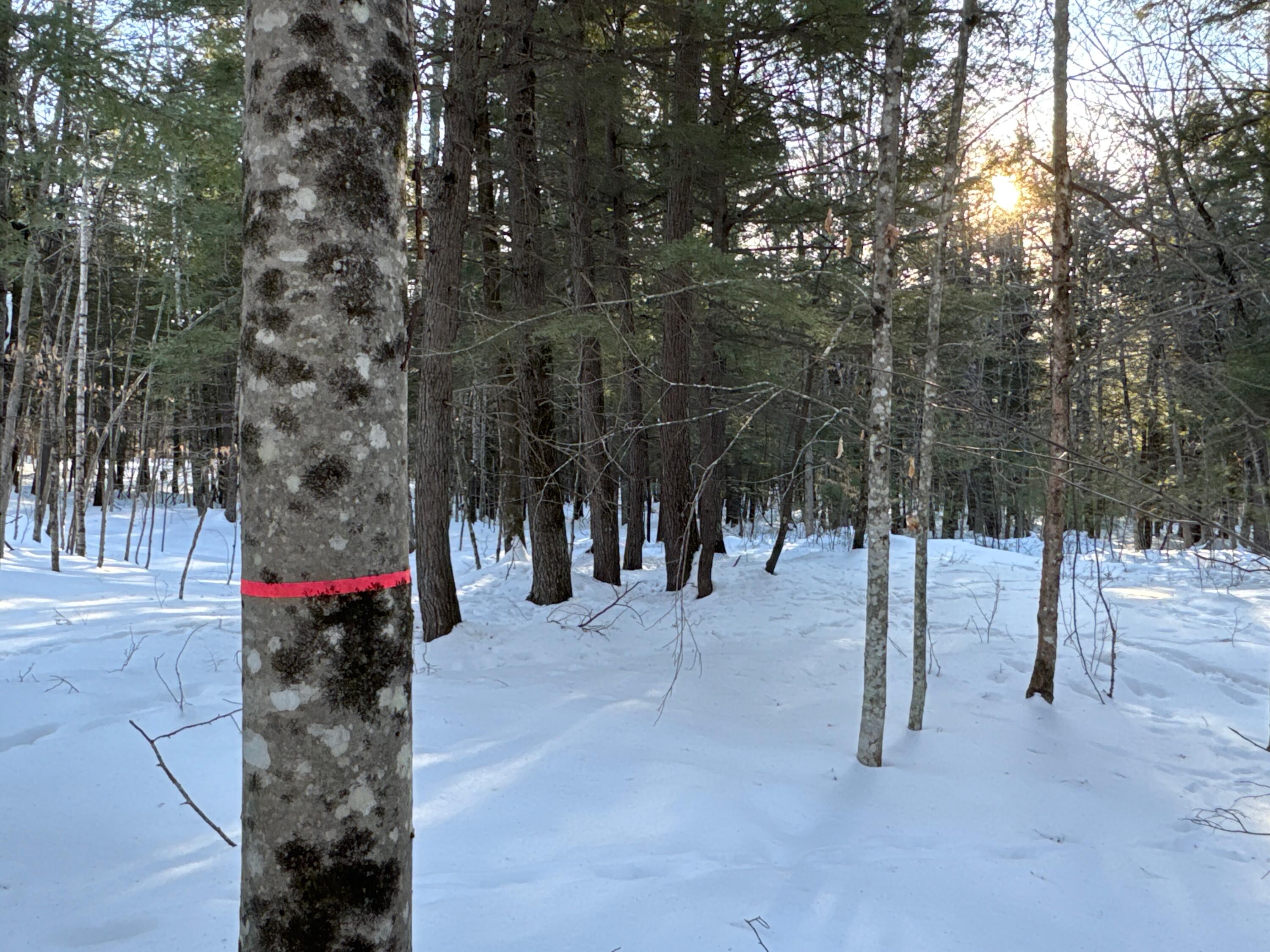 M10L44 Mountain View Road Fryeburg ME 04037