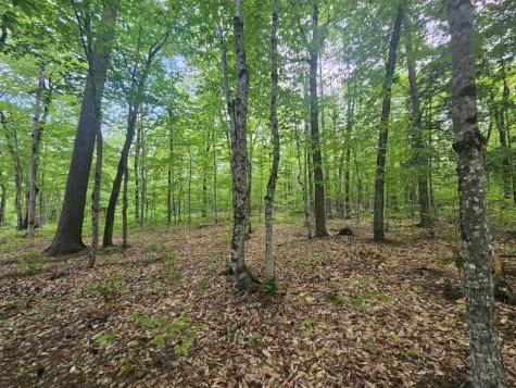 M10L44 Mountain View Road Fryeburg ME 04037