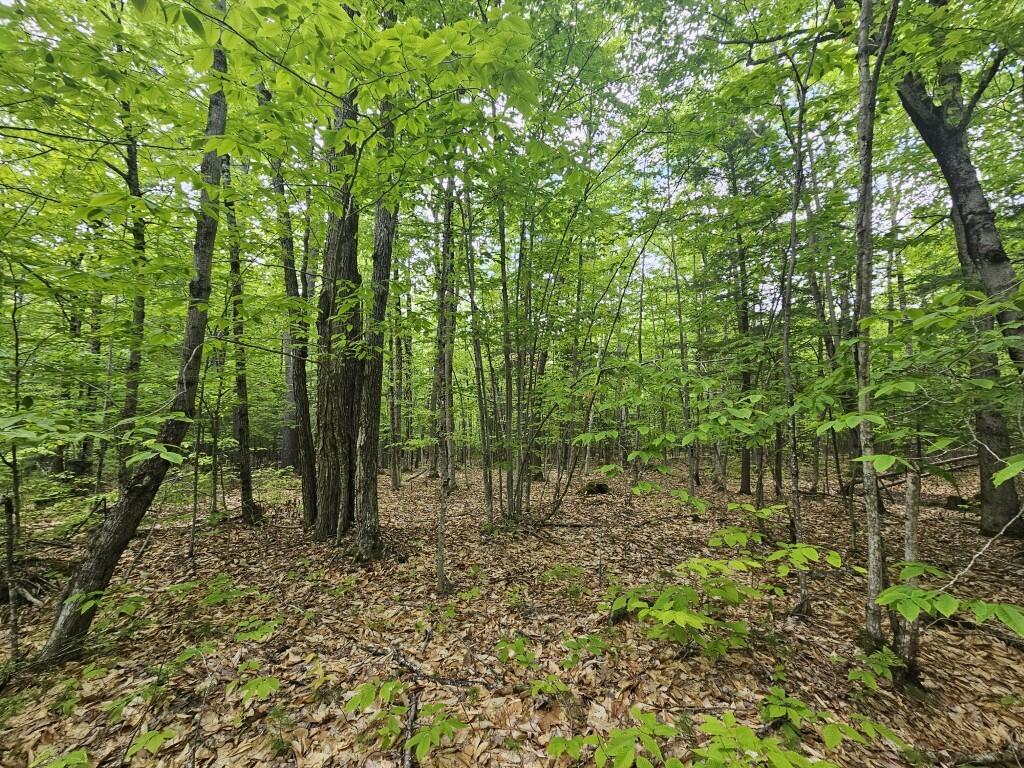 M10L44 Mountain View Road Fryeburg ME 04037