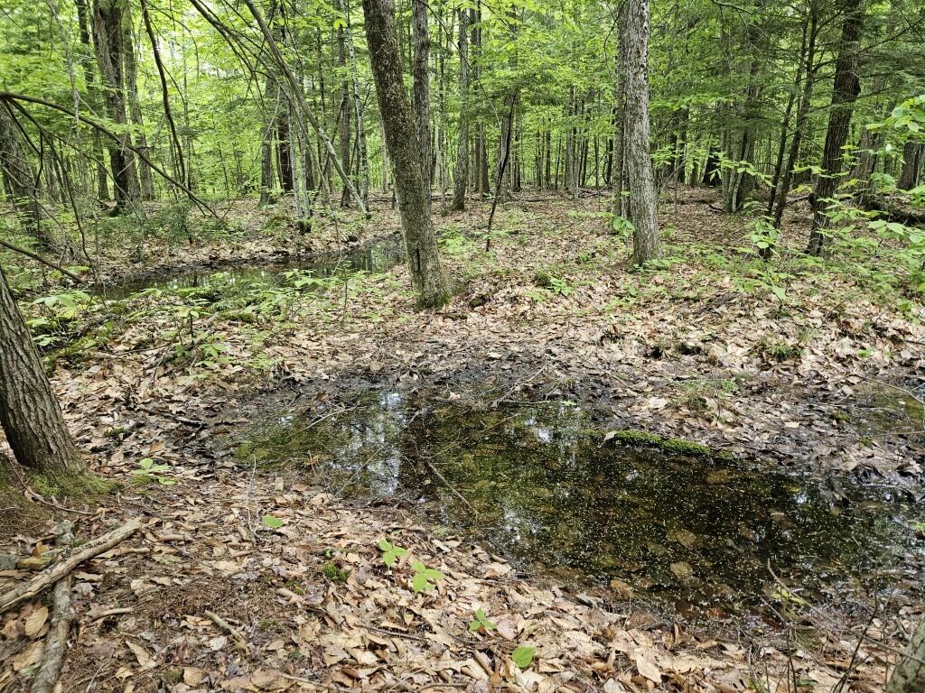 M10L44 Mountain View Road Fryeburg ME 04037