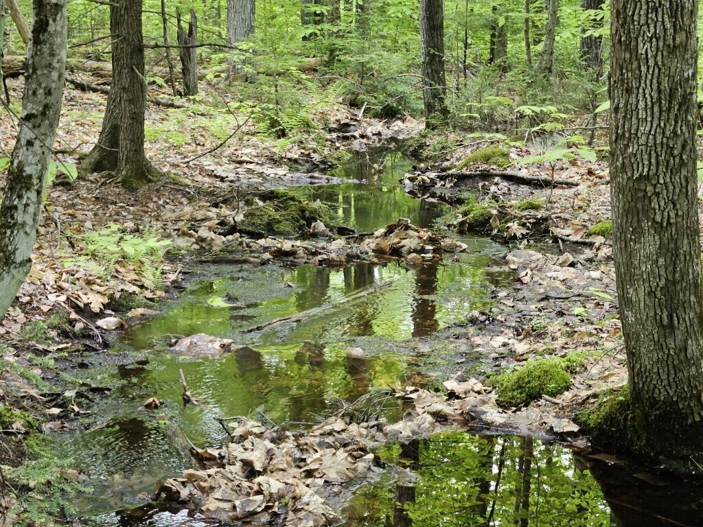 M10L44 Mountain View Road Fryeburg ME 04037