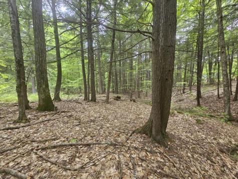 M10L44 Mountain View Road Fryeburg ME 04037