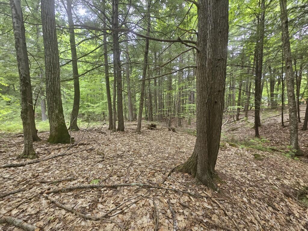 M10L44 Mountain View Road Fryeburg ME 04037