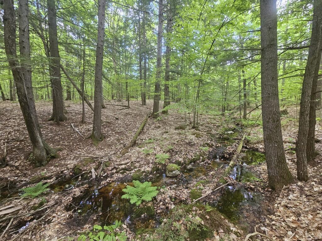 M10L44 Mountain View Road Fryeburg ME 04037