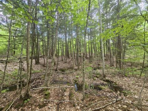M10L44 Mountain View Road Fryeburg ME 04037