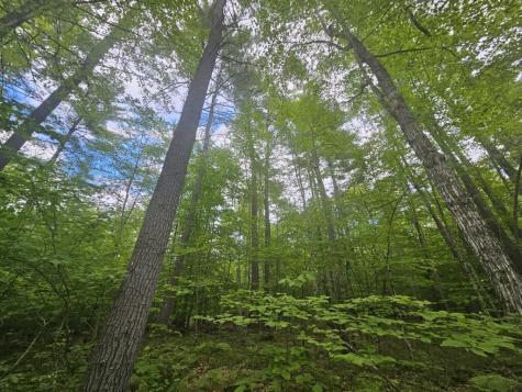 M10L44 Mountain View Road Fryeburg ME 04037