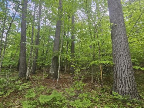 M10L44 Mountain View Road Fryeburg ME 04037