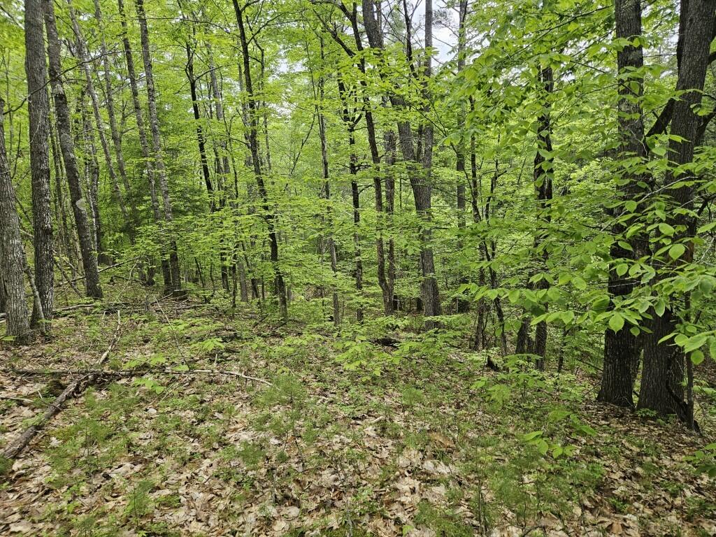 M10L44 Mountain View Road Fryeburg ME 04037