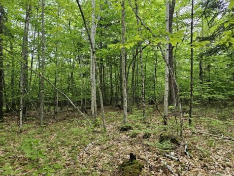 M10L44 Mountain View Road Fryeburg ME 04037