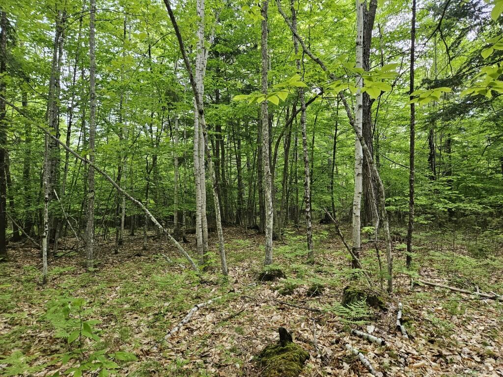 M10L44 Mountain View Road Fryeburg ME 04037