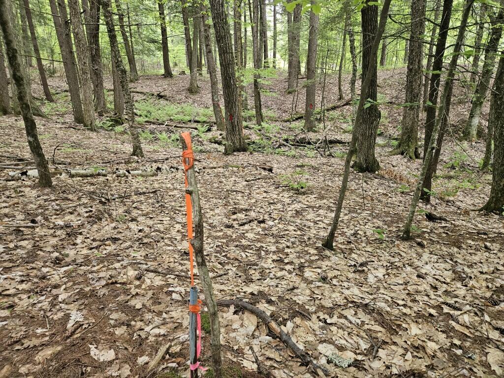 M10L44 Mountain View Road Fryeburg ME 04037