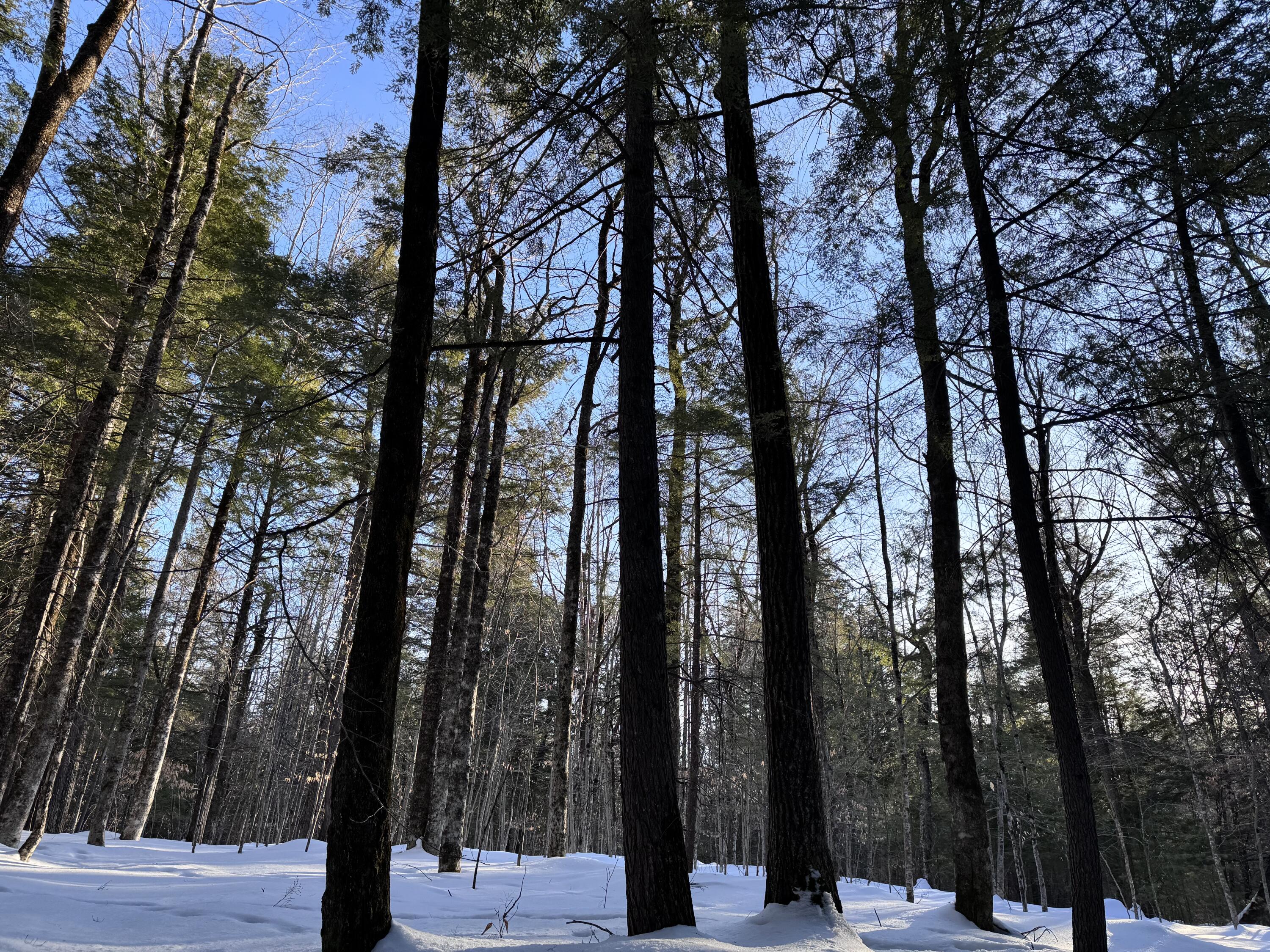 M10L44 Mountain View Road Fryeburg ME 04037