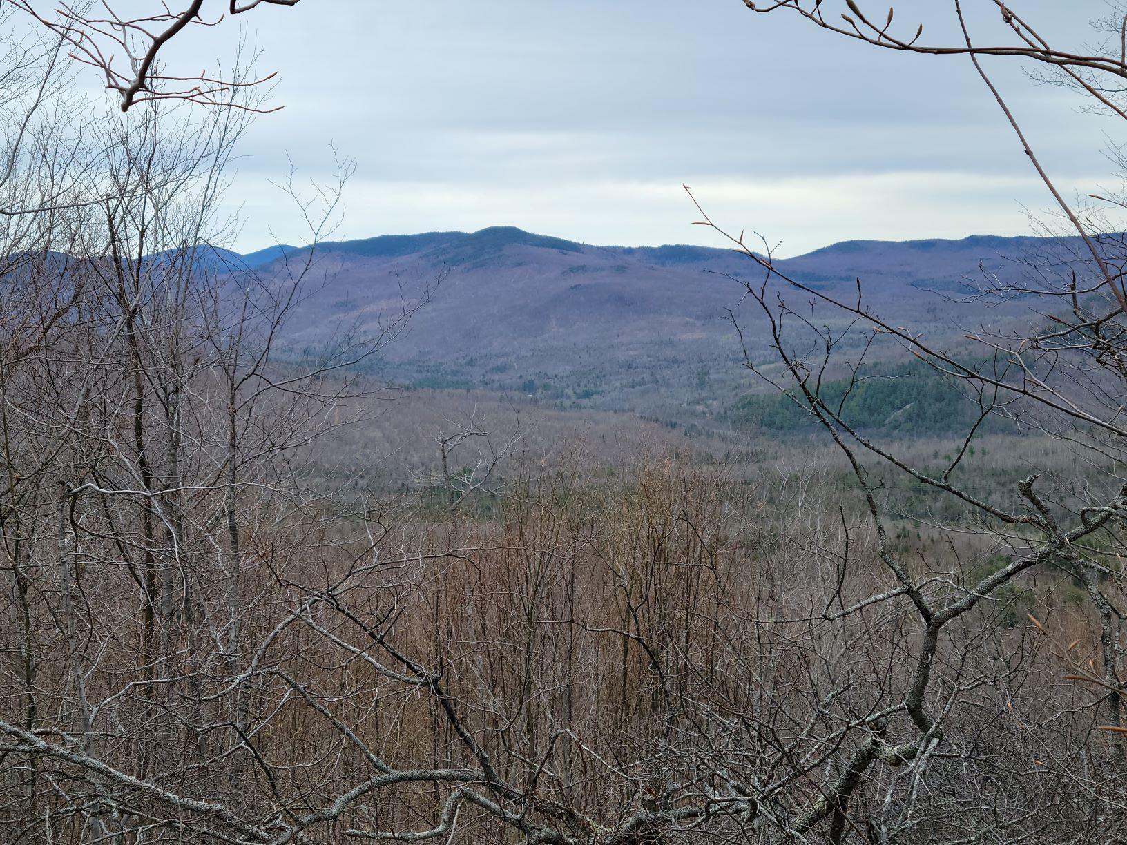 Detail View Noyes Real Estate Agency