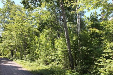 2004 Fox Hollow Road Carrabassett Valley ME 04947
