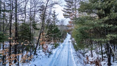 Lot 7-001 Crouse Road Bethel ME 04217