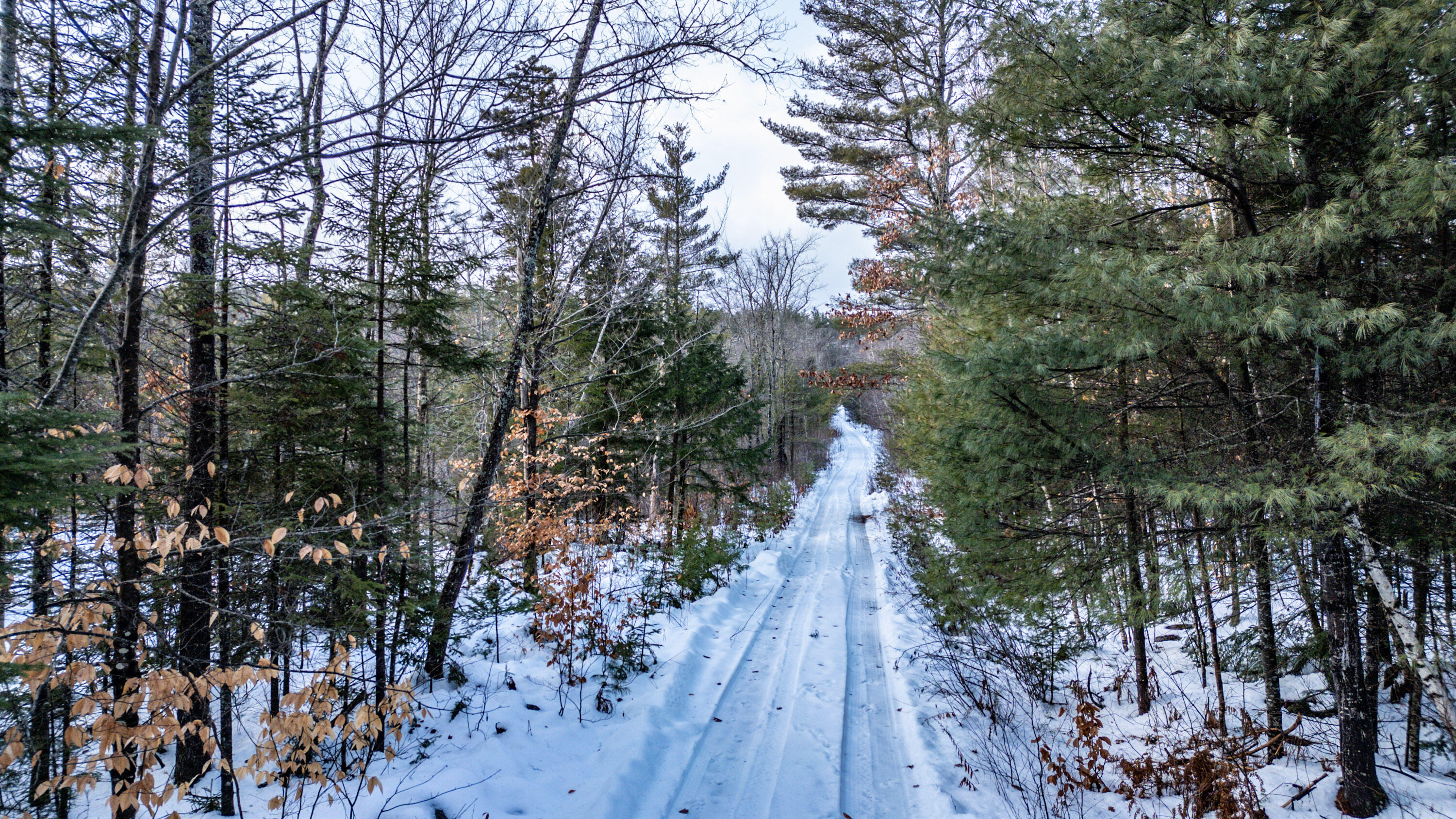 Lot 7-001 Crouse Road Bethel ME 04217