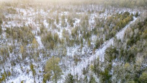 Lot 7-001 Crouse Road Bethel ME 04217
