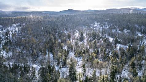 Lot 7-001 Crouse Road Bethel ME 04217