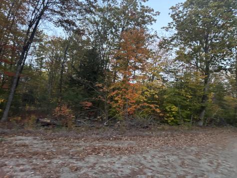 Lot 39 Main Street Wayne ME 04284