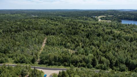 Lot 26 Lucas Lane Whiting ME 04691