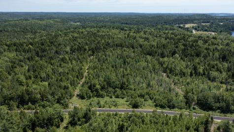 Lot 26 Lucas Lane Whiting ME 04691