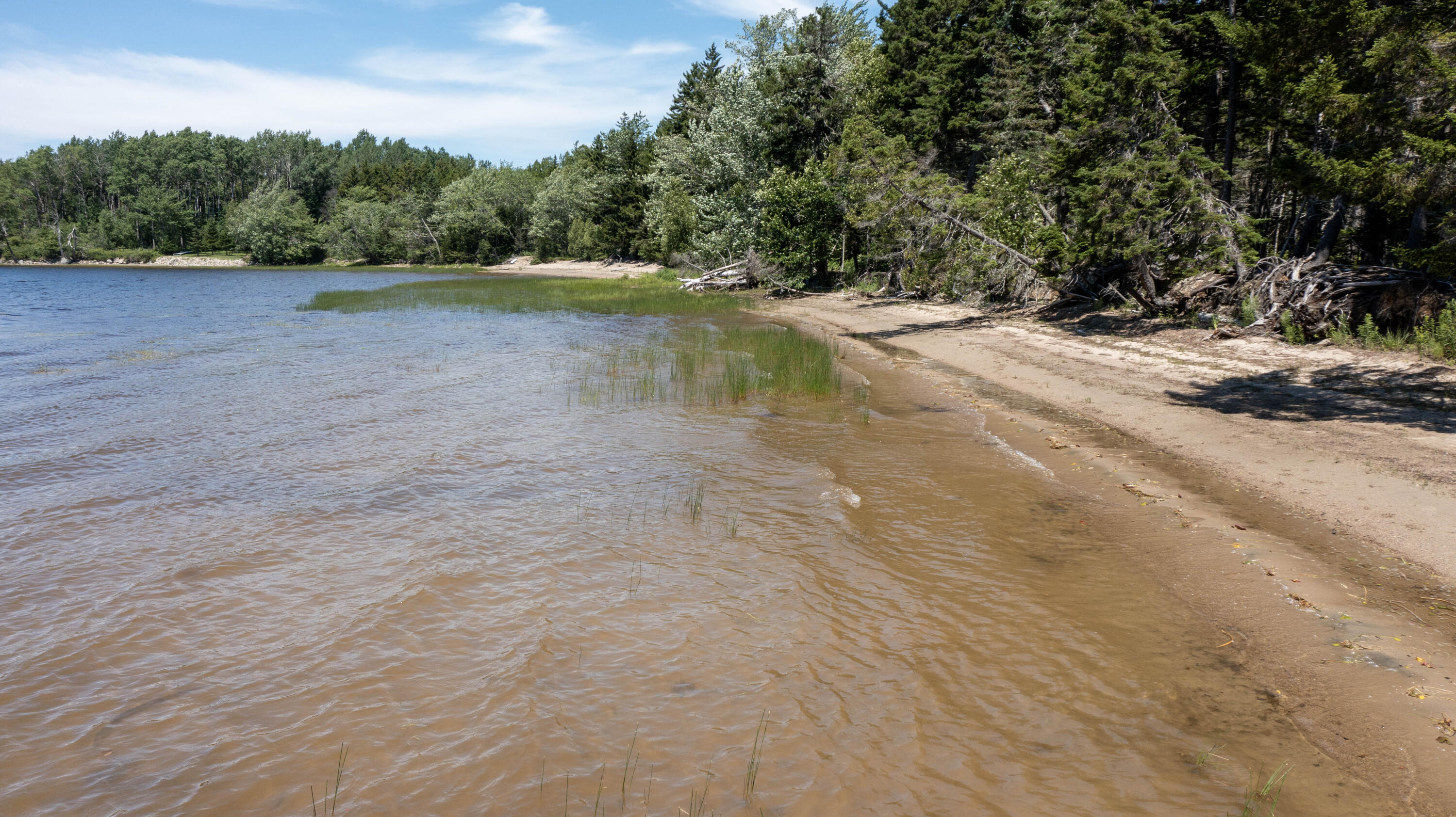 Lot 26 Lucas Lane Whiting ME 04691