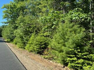 Lot #6 Bonnie Way Winterport ME 04496
