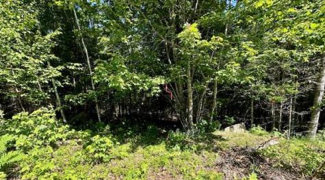 Lot #6 Bonnie Way Winterport ME 04496