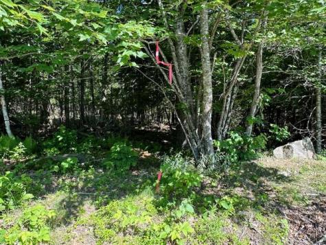 Lot #6 Bonnie Way Winterport ME 04496