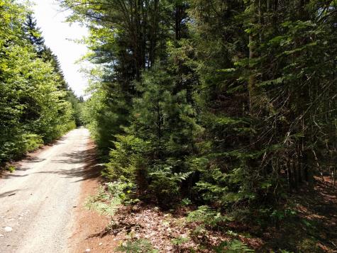 0 Old County Road Brooklin ME 04616