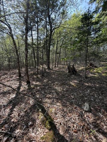 1026 Bucks Mills Road Bucksport ME 04416