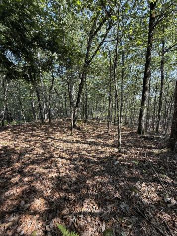 1026 Bucks Mills Road Bucksport ME 04416