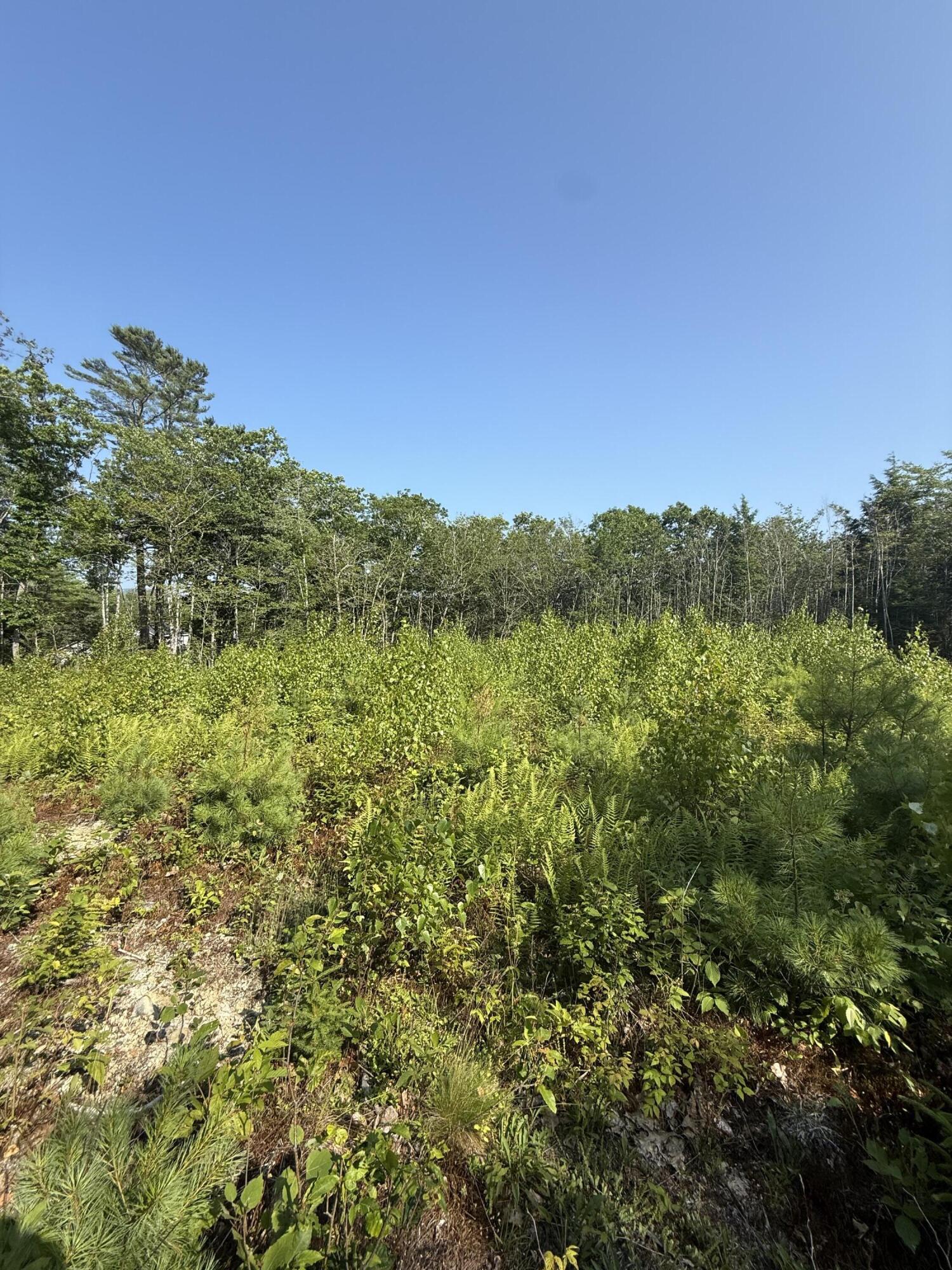 1026 Bucks Mills Road Bucksport ME 04416