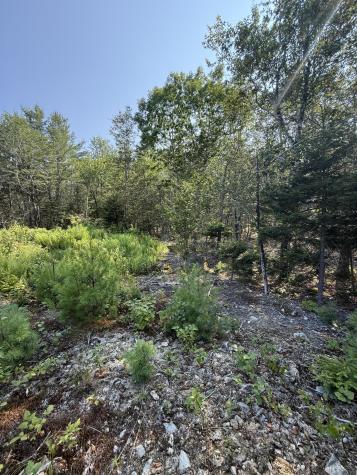 1026 Bucks Mills Road Bucksport ME 04416