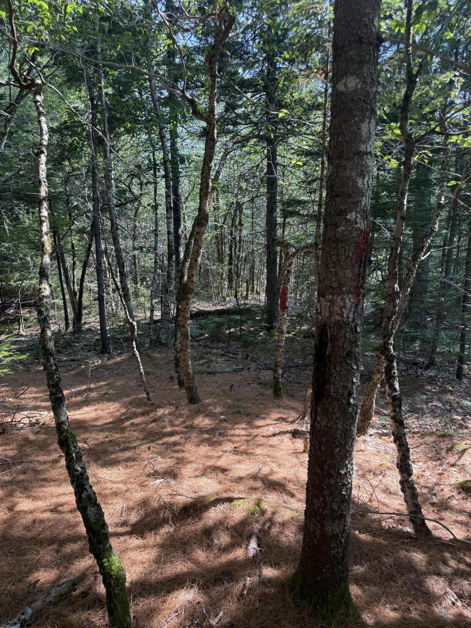 1026 Bucks Mills Road Bucksport ME 04416