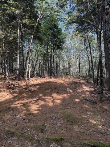 1026 Bucks Mills Road Bucksport ME 04416