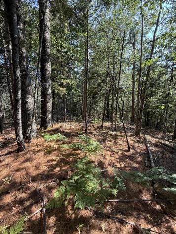 1026 Bucks Mills Road Bucksport ME 04416