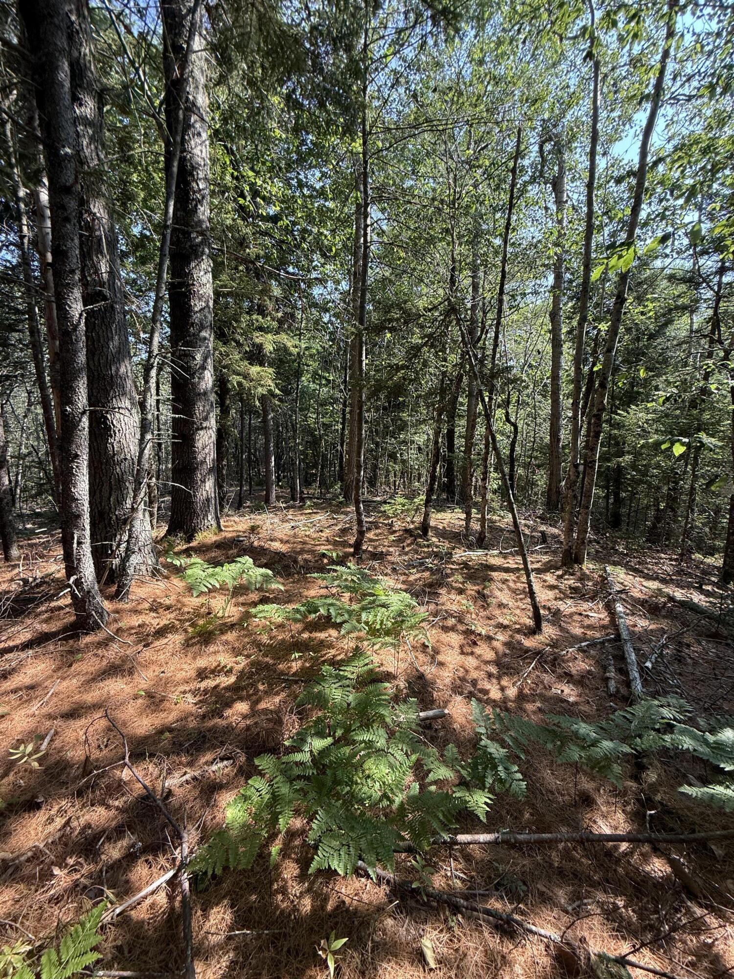 1026 Bucks Mills Road Bucksport ME 04416