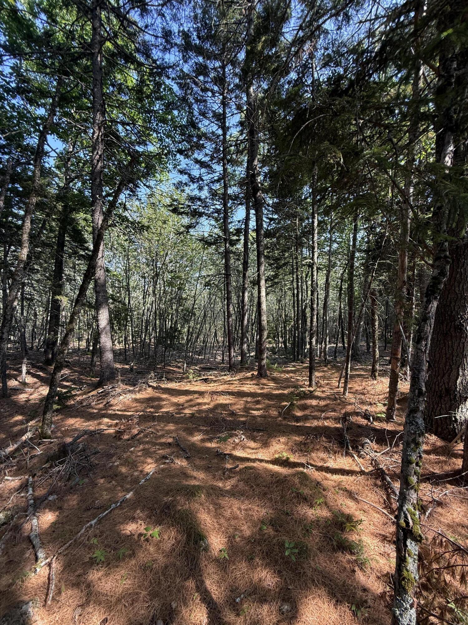 1026 Bucks Mills Road Bucksport ME 04416