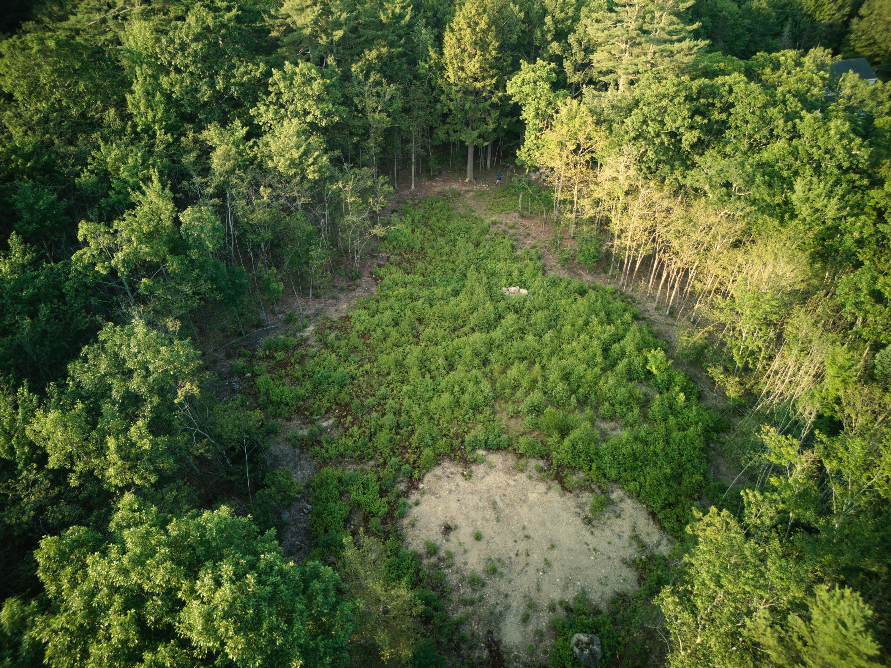 1026 Bucks Mills Road Bucksport ME 04416