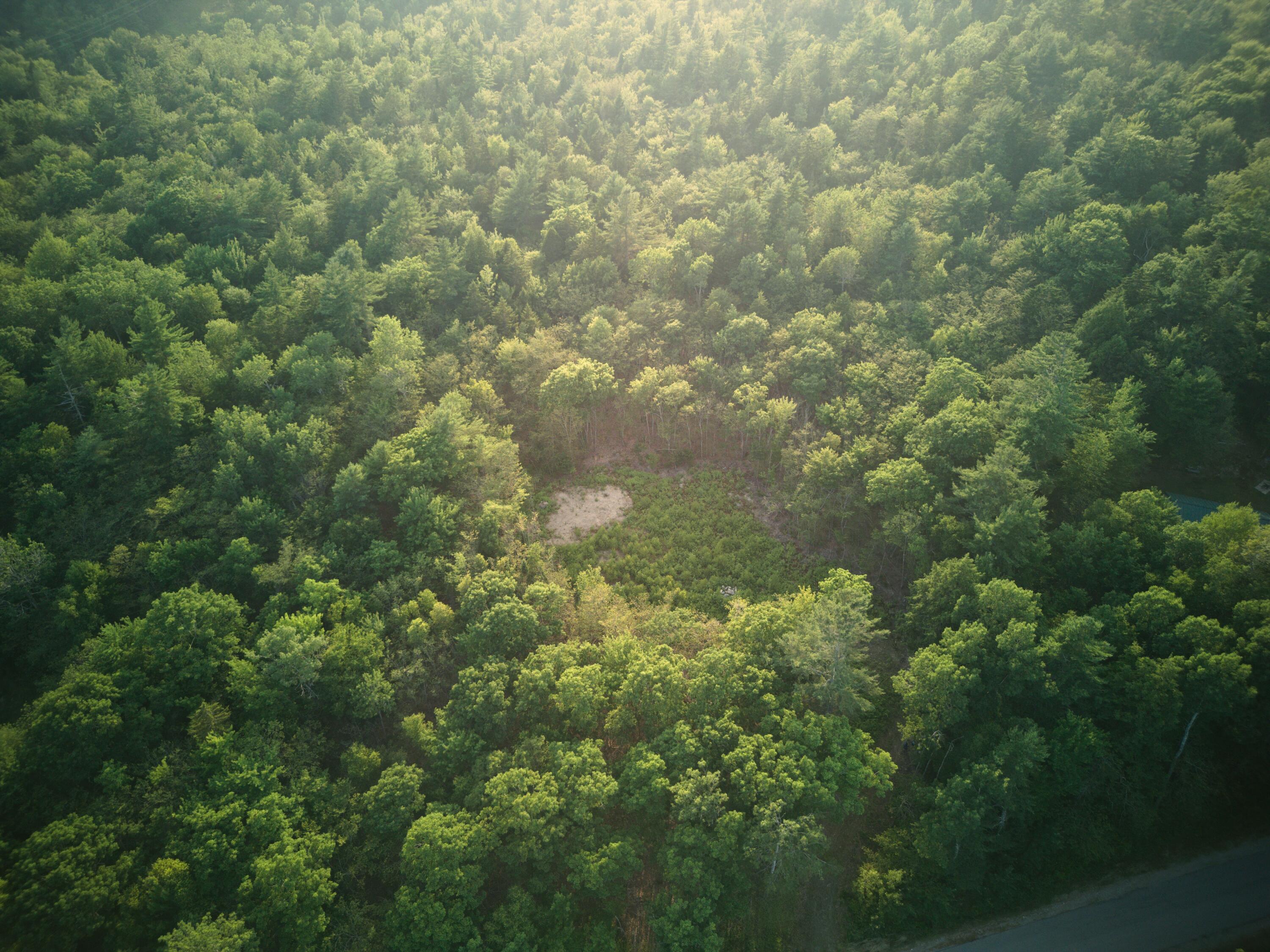 1026 Bucks Mills Road Bucksport ME 04416