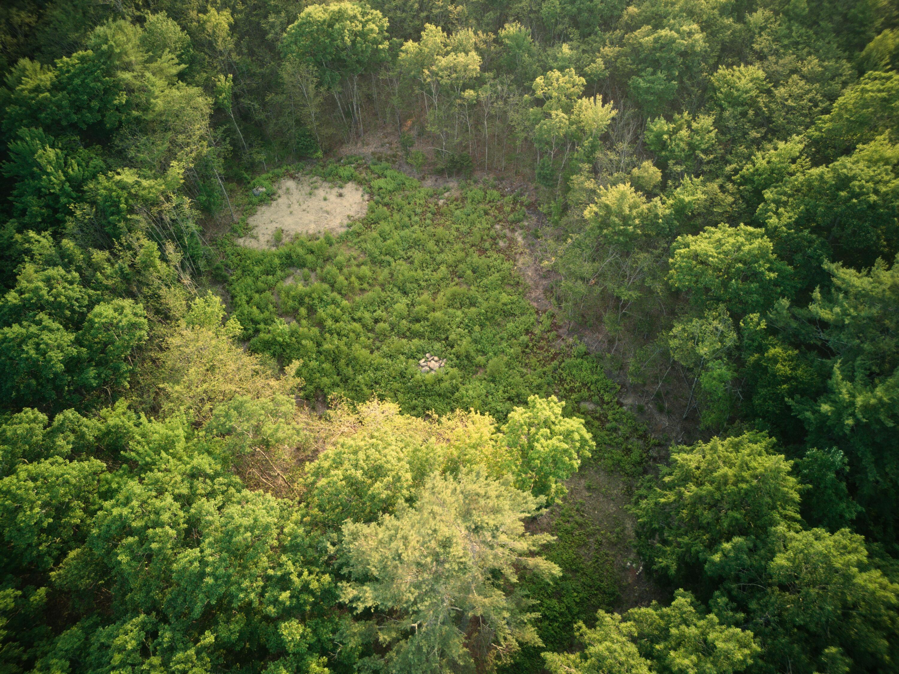 1026 Bucks Mills Road Bucksport ME 04416