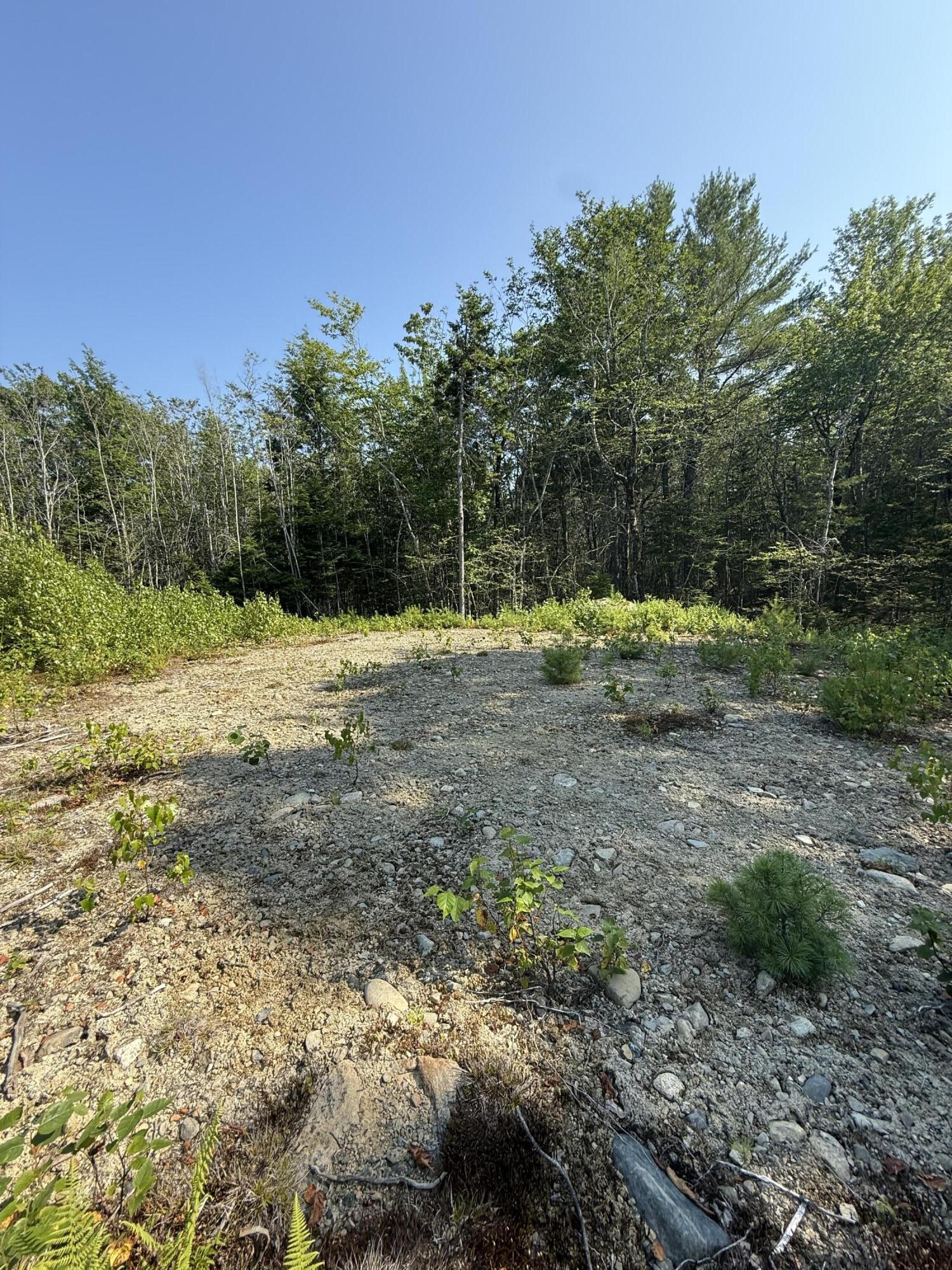 1026 Bucks Mills Road Bucksport ME 04416