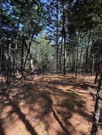 1026 Bucks Mills Road Bucksport ME 04416