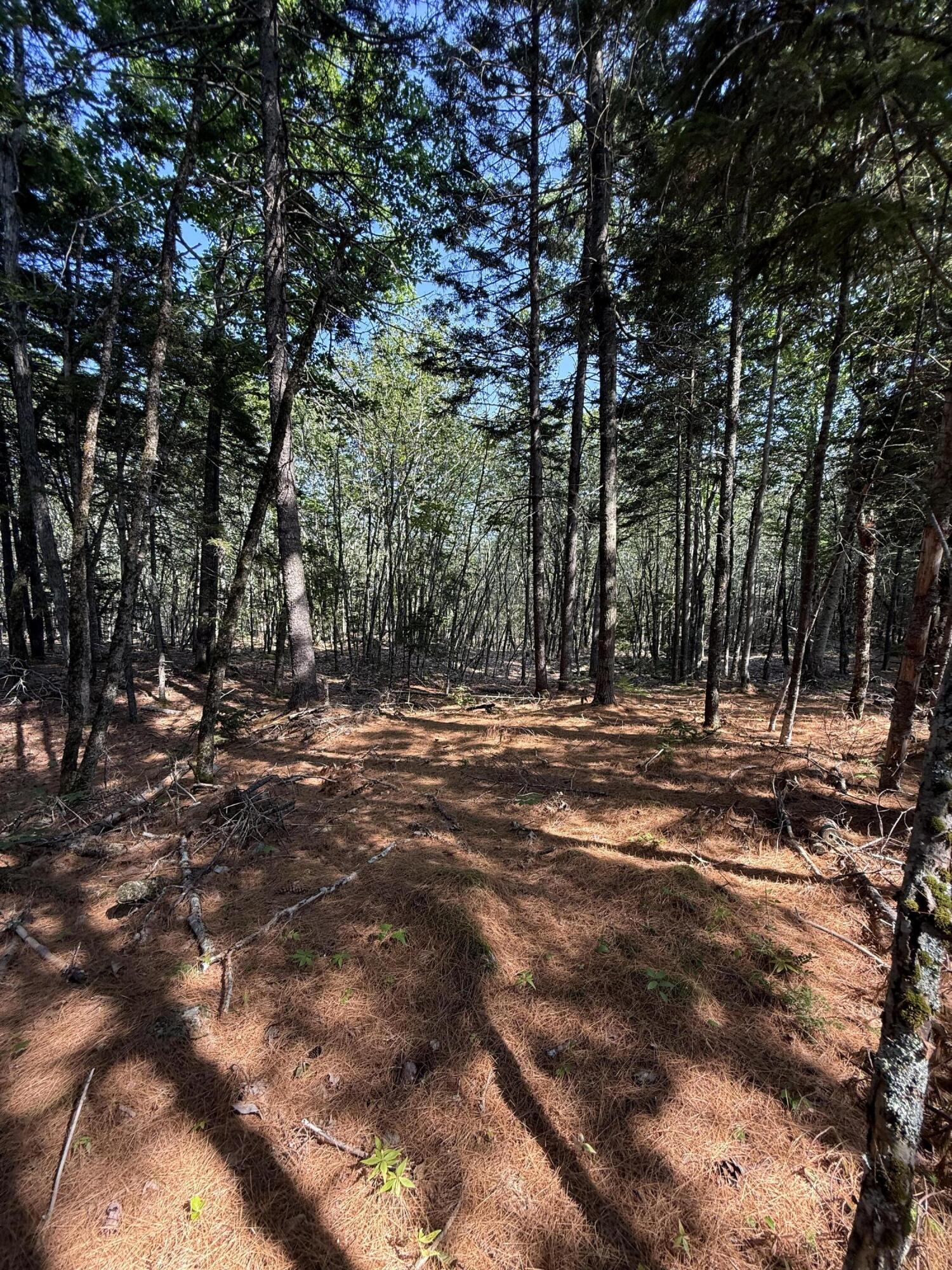 1026 Bucks Mills Road Bucksport ME 04416